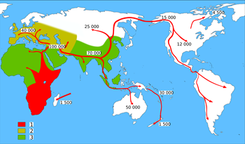 The spread of homo sapiens